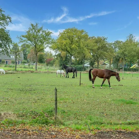 In With Sauna Casa de Férias