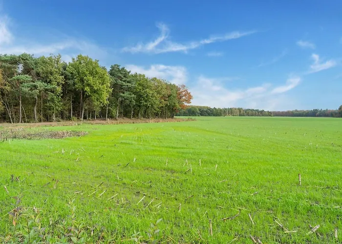Hébergement de vacances In With Sauna
