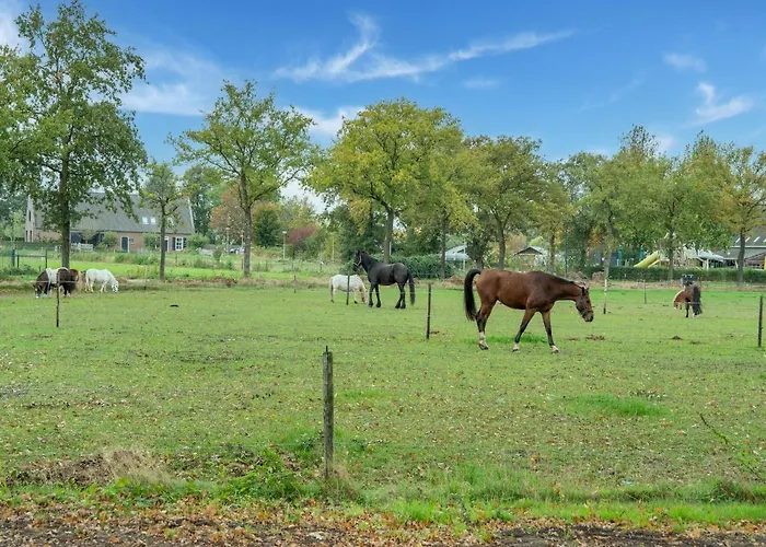 In With Sauna Tatil Evi