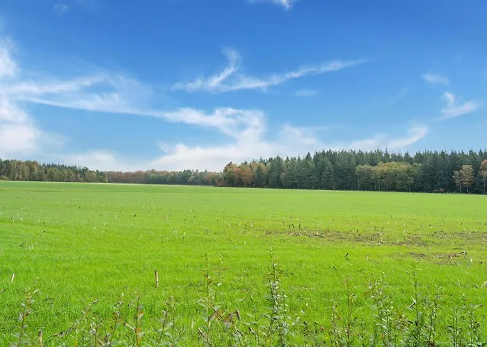 Σπίτι διακοπών In With Sauna Goirle