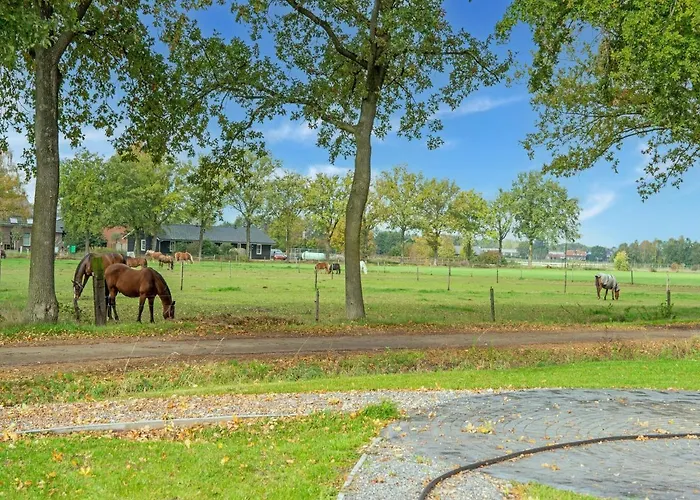Σπίτι διακοπών In With Sauna